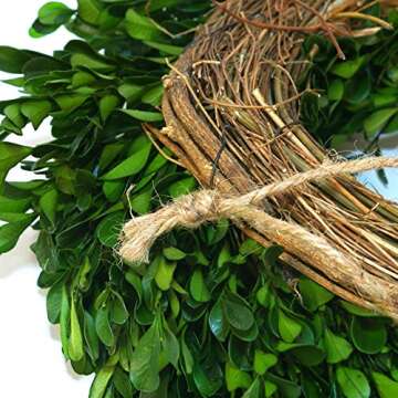 22 Inch Preserved Boxwood Garden Wreath for All Occasions