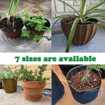 30 Packs Clear Plastic Plant Saucers 4-inch for Indoor Planters