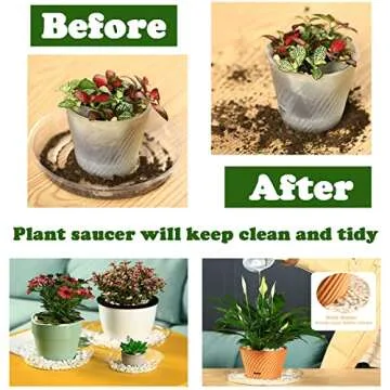 30 Clear Plastic Plant Saucers for Indoor Gardening