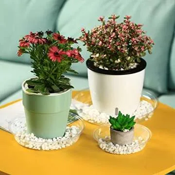 30 Clear Plastic Plant Saucers for Indoor Gardening