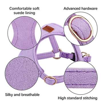 CHEDE No Pull Puppy Harness & Leash Set - Adjustable Comfort