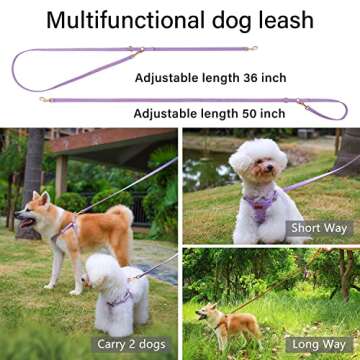 CHEDE No Pull Puppy Harness & Leash Set - Adjustable Comfort