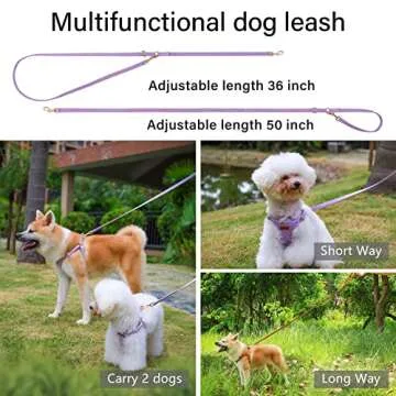 CHEDE No Pull Puppy Harness & Leash Set - Adjustable Comfort