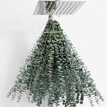 30 Pcs Eucalyptus for Shower Hanging Dried Eucalyptus Stems 17" Real Eucalyptus 100% Made from Fresh...