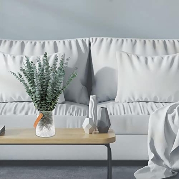 Dried Eucalyptus Stems for Shower & Home Decor