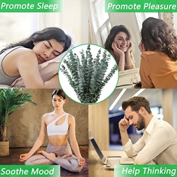 Dried Eucalyptus Stems for Shower & Home Decor