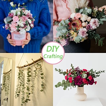 Dried Eucalyptus Stems for Shower & Home Decor