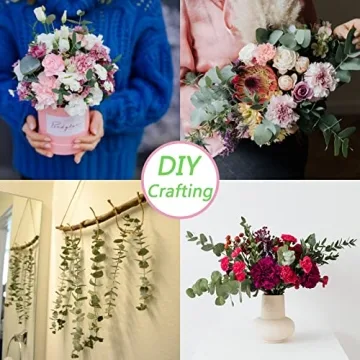 Dried Eucalyptus Stems for Shower & Home Decor