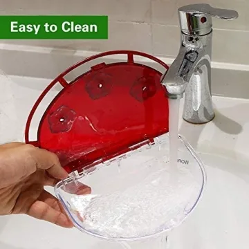 Hummingbird Window View Feeder - Easy Install & Watch Birds