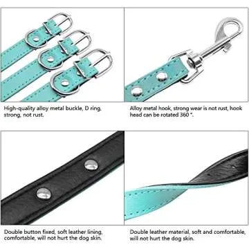 Didog Soft Leather Padded Custom Dog Collar and Leash Set with Personalized Engraved Nameplate,Fit Small Medium Dogs,Blue,S Size