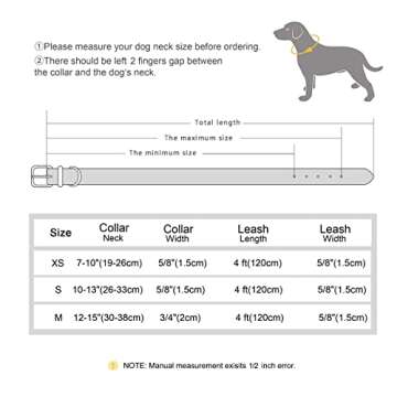 Didog Soft Leather Padded Custom Dog Collar and Leash Set with Personalized Engraved Nameplate,Fit Small Medium Dogs,Blue,S Size