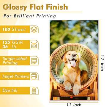 Koala Glossy Thin Inkjet Printer Paper 11x17 Inches for Printing Brochure Flyer Glossy 100 Sheets 36...