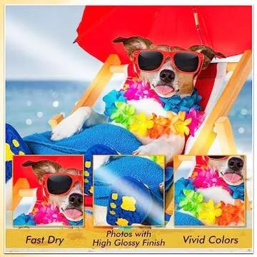 Koala Glossy Thin Inkjet Printer Paper 11x17 Inches for Printing Brochure Flyer Glossy 100 Sheets 36Lb for Inkjet Printers DYE INK