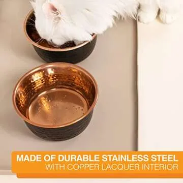 Neater Pet Brands Hammered Decorative Designer Bowls - Luxury Style Premium Dog and Cat Dishes (Medium, Black Copper)