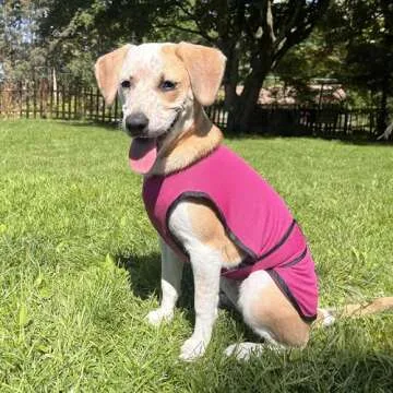 DOGZSTUFF Dog Cooling Vest. Lightweight Jacket with Evaporative Cool Microfiber Technology, UV Protection Shirt for Beach, Sizing for Small, Medium and Large Dogs (M, Rose Pink)