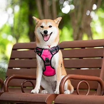 PoyPet 2019 Upgraded No Pull Dog Harness with 4 Snap Buckles, 3M Reflective with Front & Back 2 Leas...