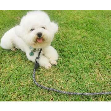 Mycicy Long Rope Dog Leash for Training, Recall & Agility - 12, 15, 22, 30, 50, 75, 100 ft Check Cord for Small & Medium Dogs - Outdoor, Camping, Backyard Use (15 ft, Black)