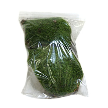 Josh's Frogs Dried Mood Moss Ideal for Terrariums and Crafts