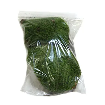 Josh's Frogs Dried Mood Moss Ideal for Terrariums and Crafts