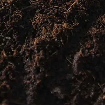 Boomr Bag 5 lb Sterile Mushroom Substrate for Maximum Yield