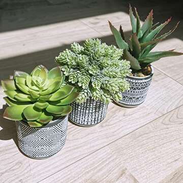 Winlyn Set of 3 Assorted Small Potted Succulents Arrangement Artificial Succulent Plants in Black and White Geometric Pots for Table Centerpiece Windowsill Shelf Indoor Outdoor Garden Greenery Decor