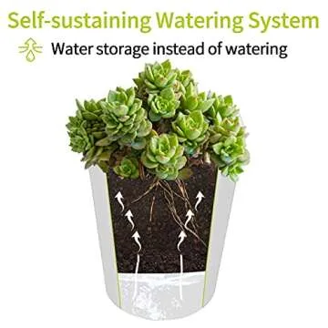 TCBWFY 4 Inch Self Watering Pots for Indoor Plants,8 Sets Self Watering Planter Pots with Visual Water Level Window and Multiple Vents,Self Watering Plant Pot for All House Plants,Flowers,Herbs
