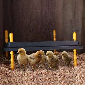 Rural365 Chick Heating Plate Brooder Plate - 10 Inch Brooder Heat Plate for Chicks and Ducklings with Adjustable Height