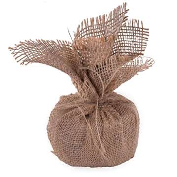 Vickerman 30" Tall Caramel Pine Artificial Christmas Tree, 50 Warm White Italian LED Mini Lights, Seasonal Indoor Home Decor with Decorative Burlap Base