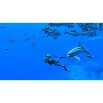 Relaxing Marine Adventure Game - Endless Ocean™ Luminous