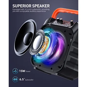 Portable Karaoke Machine with 2 Wireless Mic