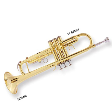Bb Standard Trumpet Set for Beginners Brass Trumpet