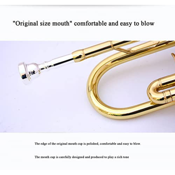 Bb Standard Trumpet Set for Beginners Brass Trumpet
