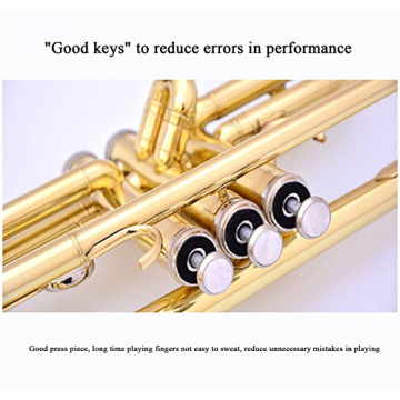Bb Standard Trumpet Set for Beginners Brass Trumpet