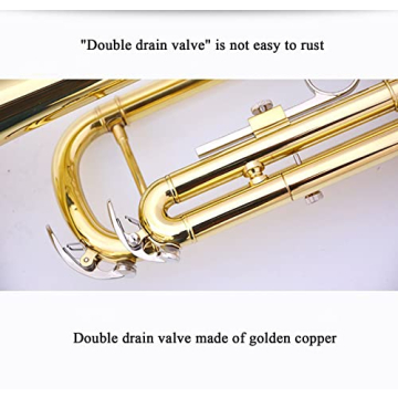 Bb Standard Trumpet Set for Beginners Brass Trumpet