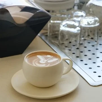 WENSHUO Egg Shape Coffee Mug with Saucer 8oz Crème