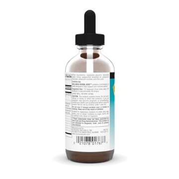 Source Naturals Wellness Herbal Kids Liquid Formula - for Immune System Support - 4 Fluid oz