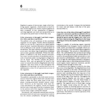 The Zoology Coloring Book for Nature Lovers and Artists