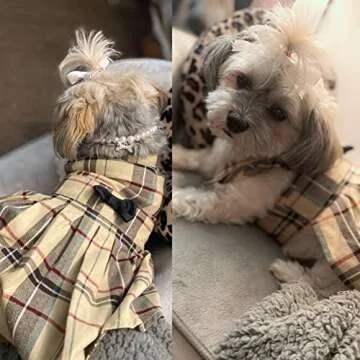 Cute Classic Plaid Dog Dress for Small and Medium Pets