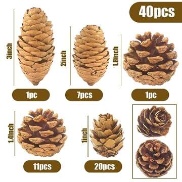 JOHOUSE 40PCS Natural Pine Cones Bulk, Pinecones Decorations Pine Cone Ornaments for Crafts Thanksgi...