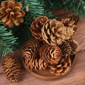 JOHOUSE 40PCS Natural Pine Cones Bulk, Pinecones Decorations Pine Cone Ornaments for Crafts Thanksgiving Christmas Wreath Table Bowl Decor, Winter Vase Filler
