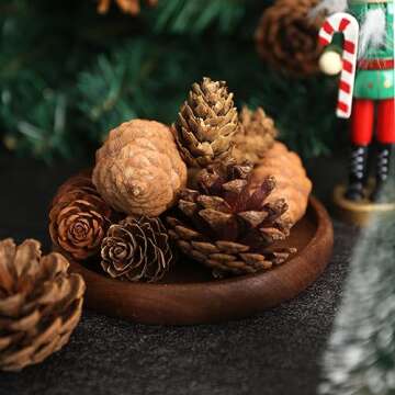 JOHOUSE 40PCS Natural Pine Cones Bulk, Pinecones Decorations Pine Cone Ornaments for Crafts Thanksgiving Christmas Wreath Table Bowl Decor, Winter Vase Filler