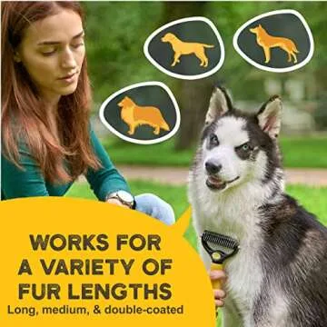 Pawradise Deshedding Dog Brush - Efficient Grooming for Pets