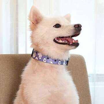 Impoosy 2PCS Dog Halloween Collar with Pet Ghost Leash Set for Small to Large Pets