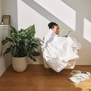 Brooklinen Lightweight Luxury Down Alternative Comforter for All Seasons