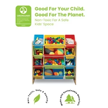Delta Children 12 Bin Storage Organizer for Kids