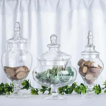 Elegant Glass Apothecary Jars Set - Stylish & Multi-Purpose