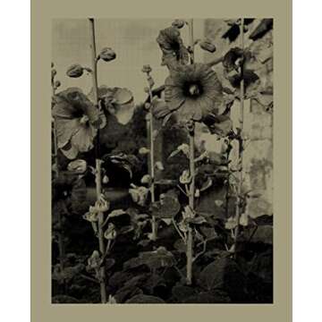 Nicholas Nixon: Closing the Distance