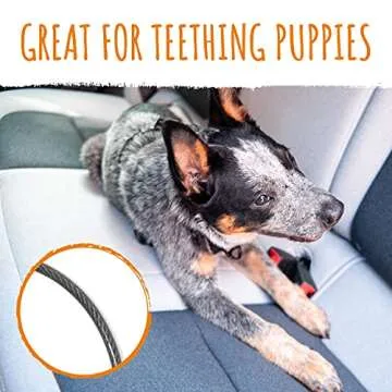 Mighty Paw Dog Seat Belt - Chew-Proof Metal Safety Restraint - Steel Braided Vehicle Tether - Rock Climbers Carabiner Included - Pet Car Leash Seat Belts - Dogs Car Safety Harness -Black, 60cm