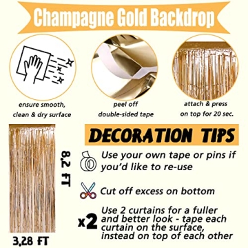Champagne Gold Foil Fringe Curtain Backdrop for Parties