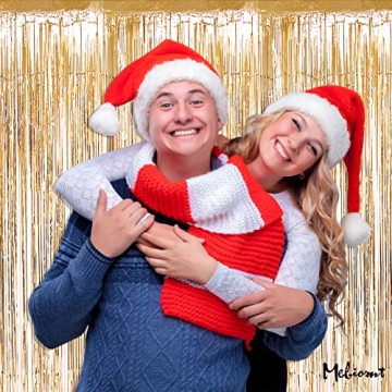 Champagne Gold Foil Fringe Curtain Backdrop for Parties